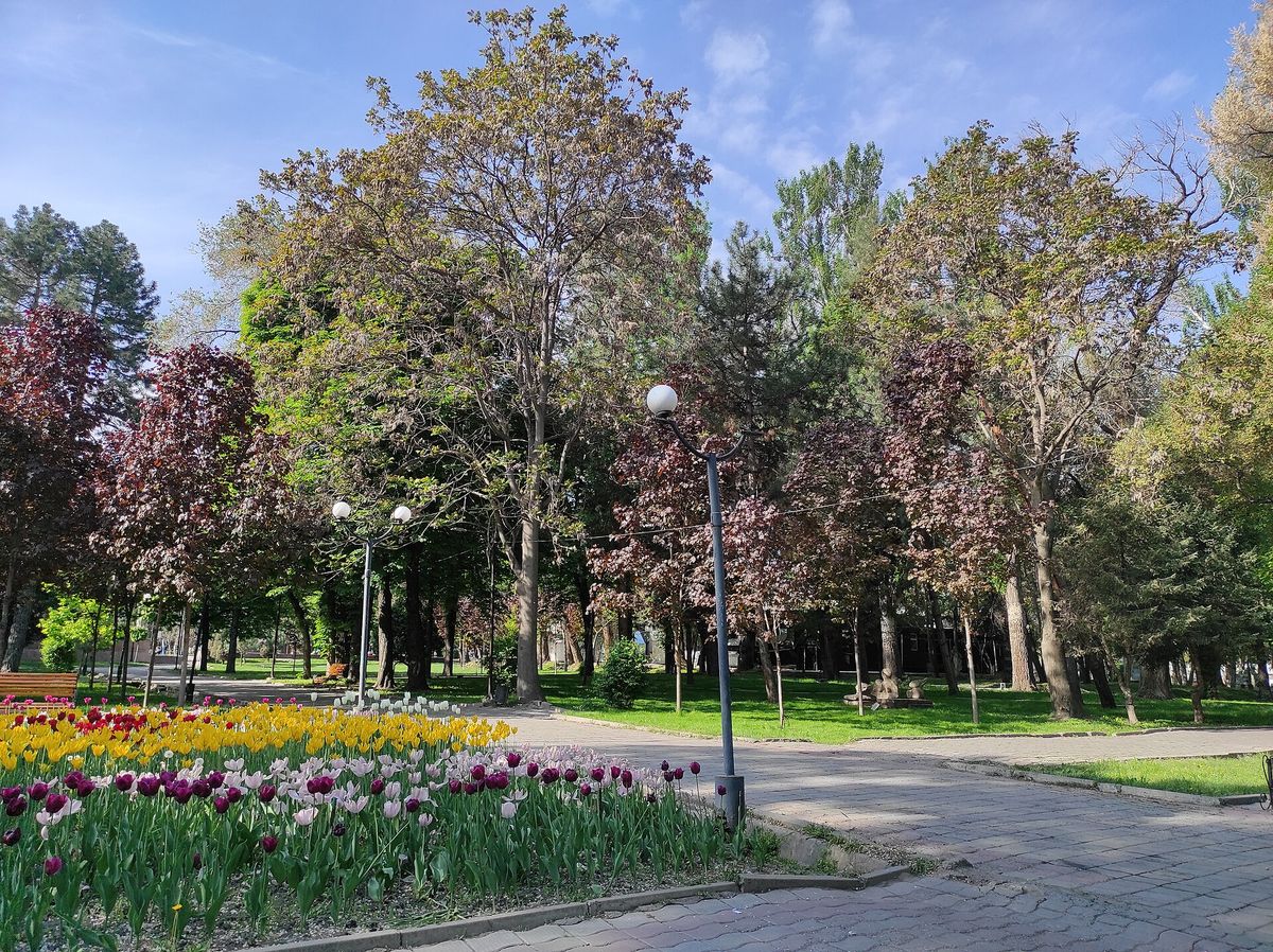 Дубовый парк в Бишкеке весной